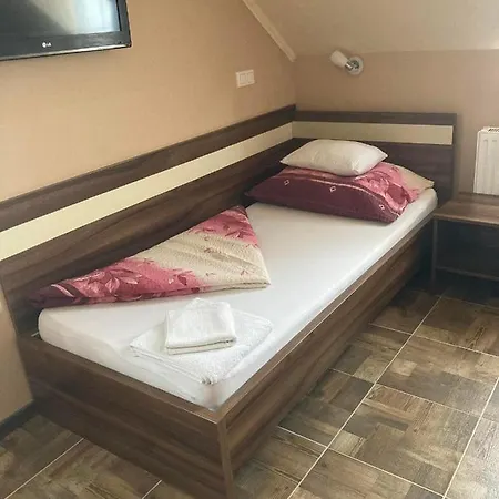 Borostyan Panzio