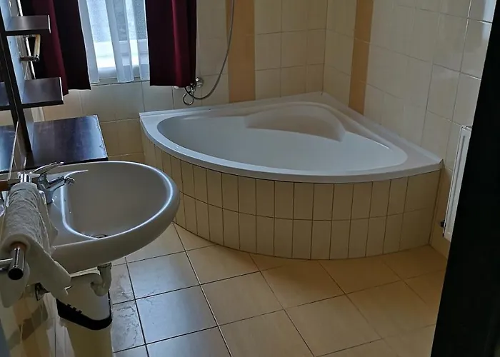 Borostyan Panzio Отель типа 