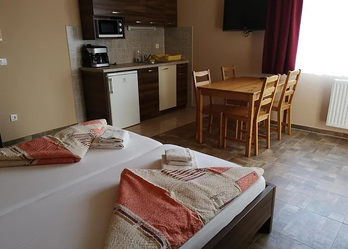 Borostyan Panzio Отель типа 