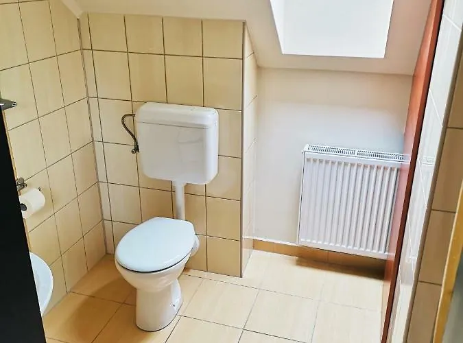 Borostyan Panzio Отель типа 