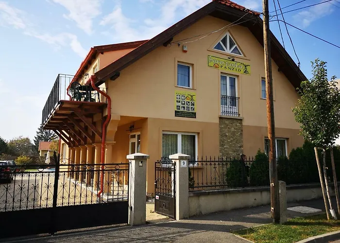 Borostyan Panzio Bed and Breakfast
